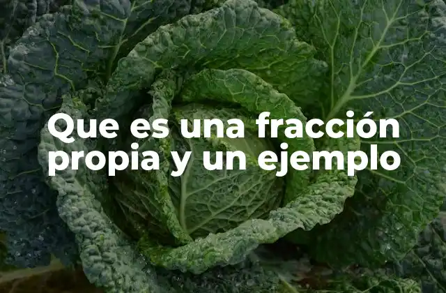 Que es una Fracción Propia y un Ejemplo