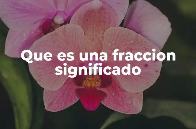 Que es una Fraccion Significado