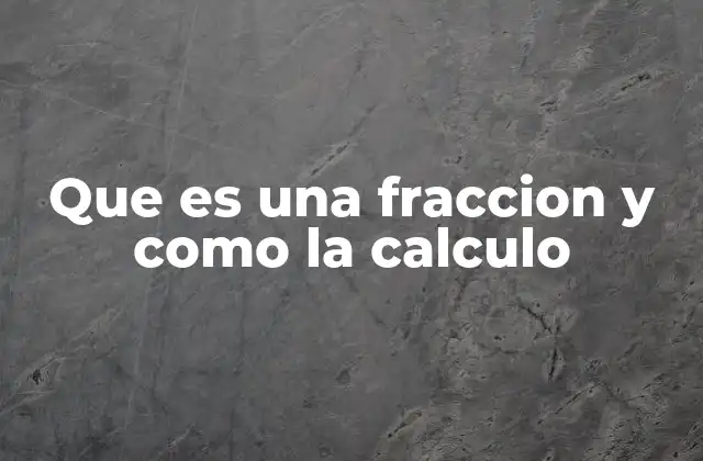 Que es una Fraccion y como la Calculo