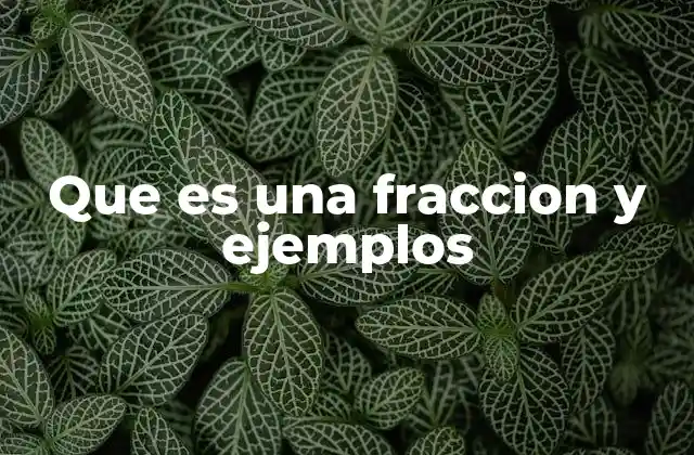Las fracciones en la vida cotidiana