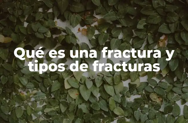 Qué es una Fractura y Tipos de Fracturas