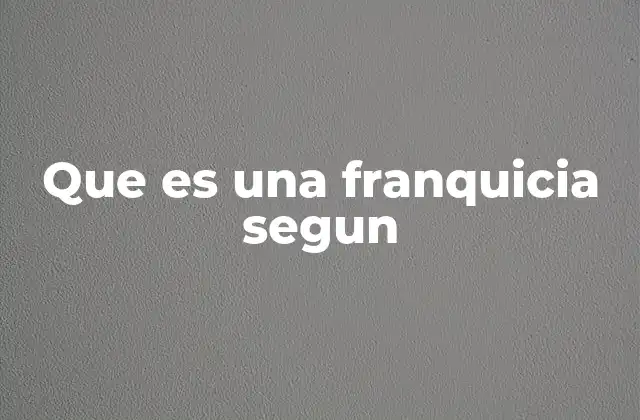 Que es una Franquicia Segun