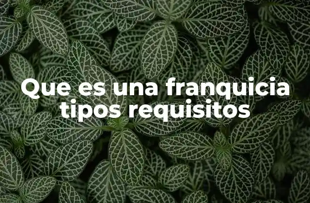 Que es una Franquicia Tipos Requisitos