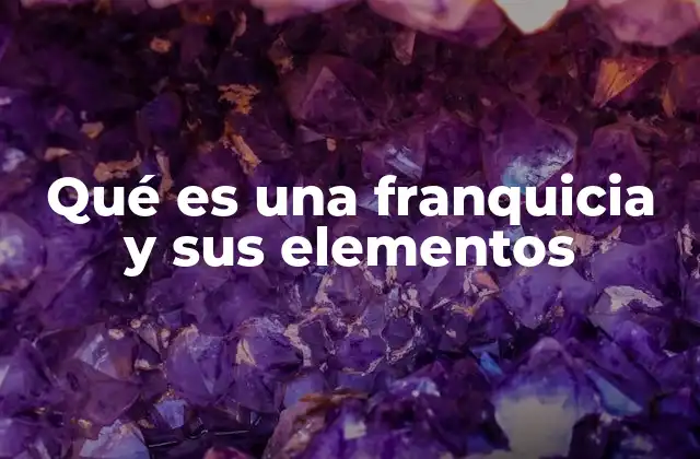 Qué es una Franquicia y Sus Elementos