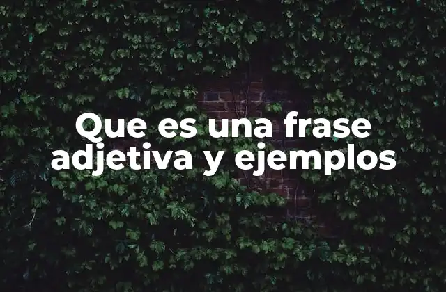 Que es una Frase Adjetiva y Ejemplos