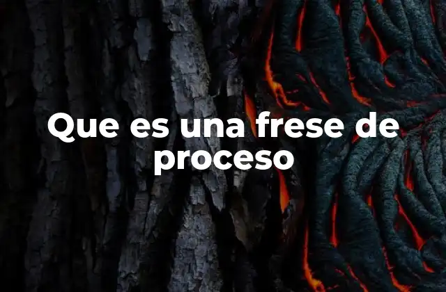 Que es una Frese de Proceso
