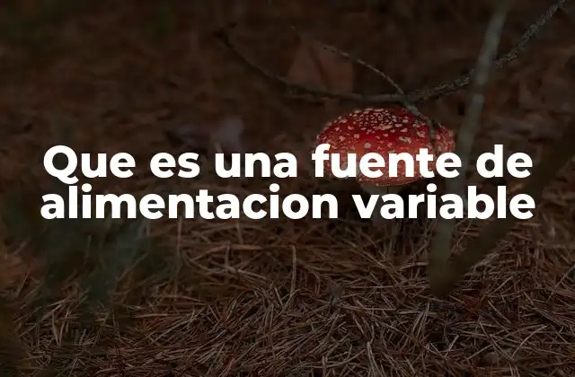 Que es una Fuente de Alimentacion Variable