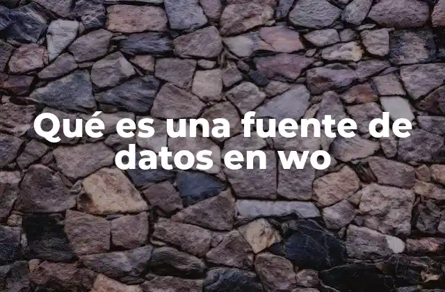 Qué es una Fuente de Datos en Wo