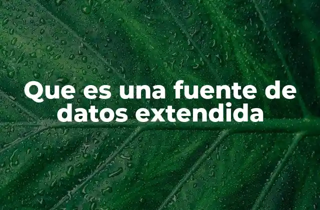 Que es una Fuente de Datos Extendida