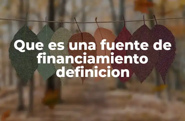 Que es una Fuente de Financiamiento Definicion