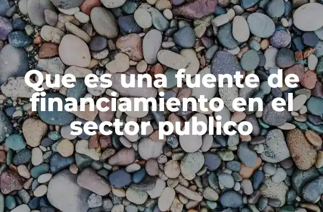 Que es una Fuente de Financiamiento en el Sector Publico