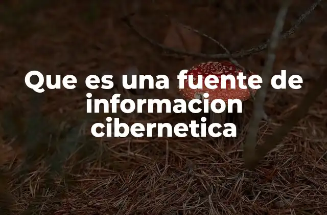 Que es una Fuente de Informacion Cibernetica