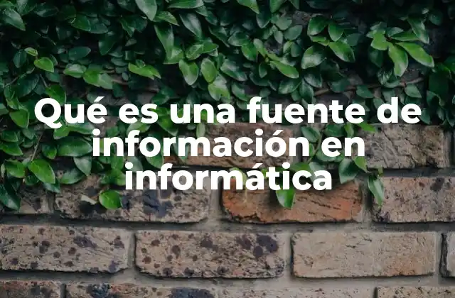 Qué es una Fuente de Información en Informática