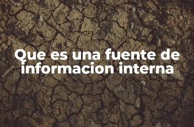 Que es una Fuente de Informacion Interna 2 La importancia de los datos internos en la toma de decisiones