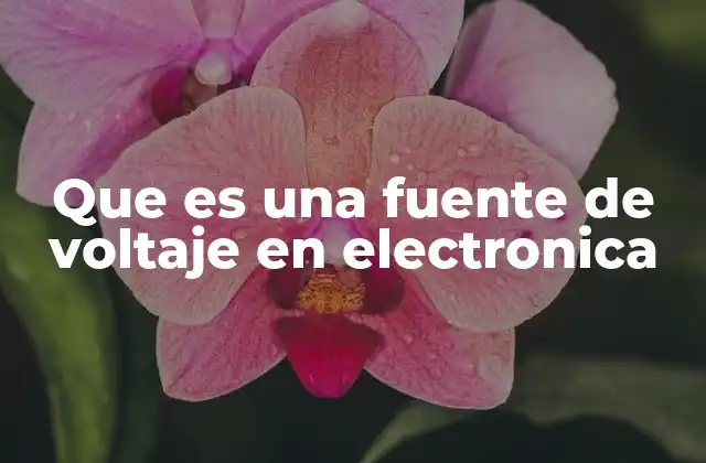 Que es una Fuente de Voltaje en Electronica