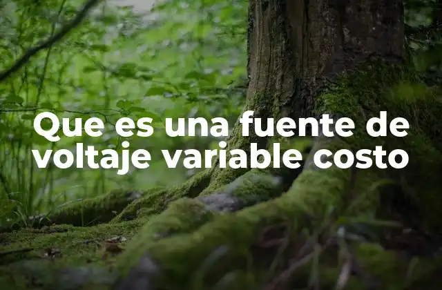 Que es una Fuente de Voltaje Variable Costo 2 Características de una fuente de voltaje ajustable económica