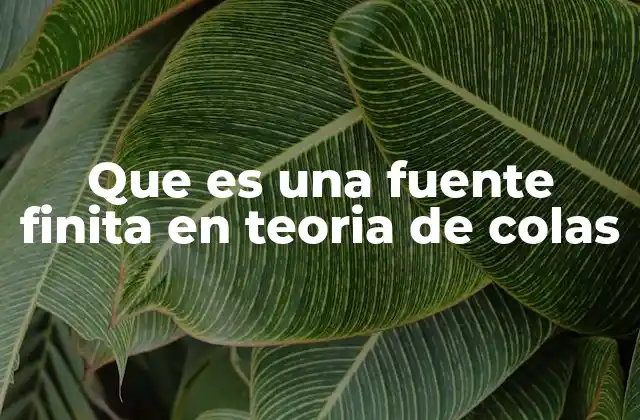 Que es una Fuente Finita en Teoria de Colas