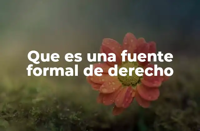 Que es una Fuente Formal de Derecho