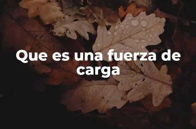 Que es una Fuerza de Carga