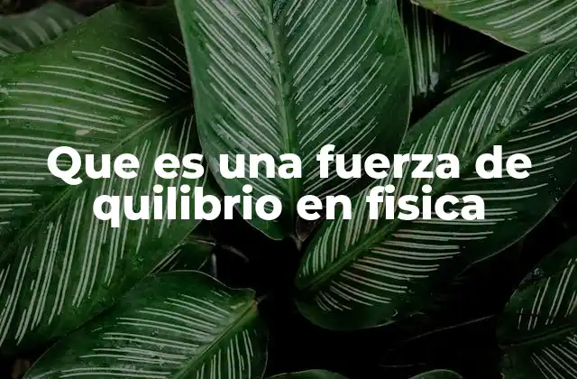 Que es una Fuerza de Quilibrio en Fisica