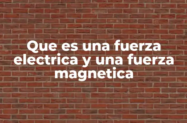Que es una Fuerza Electrica y una Fuerza Magnetica