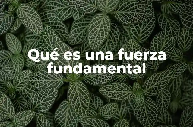 Qué es una Fuerza Fundamental