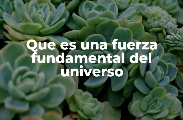 Que es una Fuerza Fundamental Del Universo