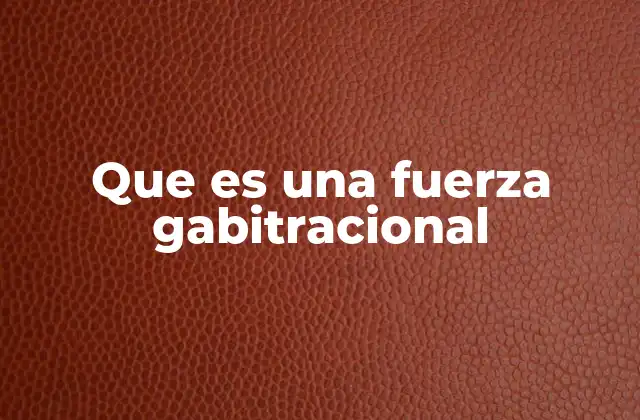 Que es una Fuerza Gabitracional