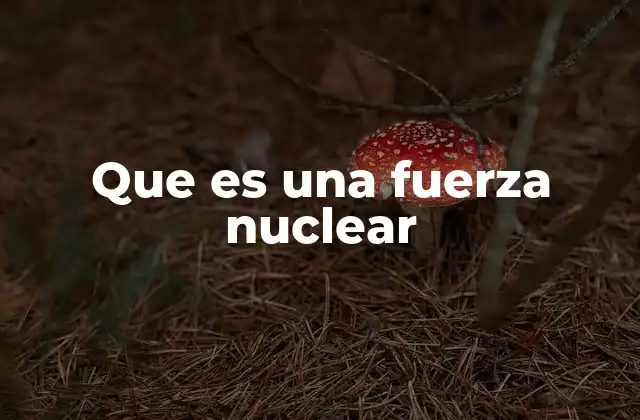 Que es una Fuerza Nuclear