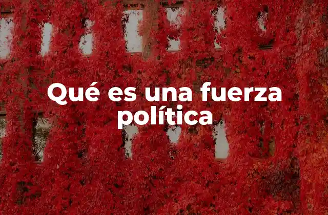 Qué es una Fuerza Política