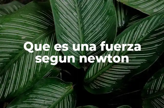 Que es una Fuerza Segun Newton