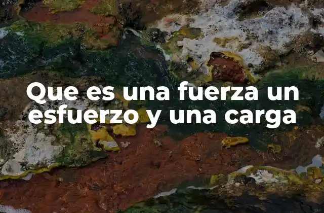 Que es una Fuerza un Esfuerzo y una Carga