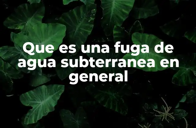 Que es una Fuga de Agua Subterranea en General