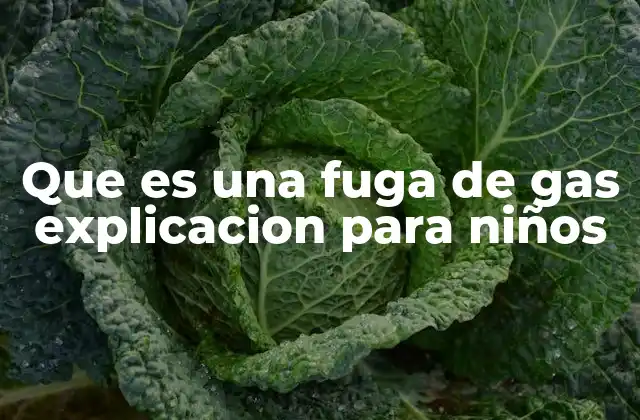 Que es una Fuga de Gas Explicacion para Niños