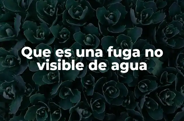 Que es una Fuga No Visible de Agua