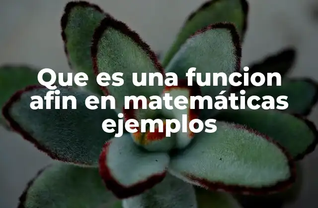 Que es una Funcion Afin en Matemáticas Ejemplos