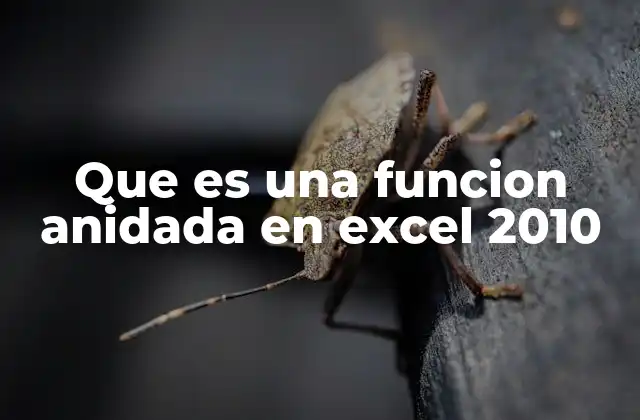 Ventajas de utilizar funciones anidadas en Excel 2010