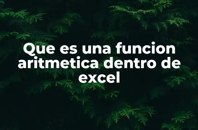 Que es una Funcion Aritmetica Dentro de Excel