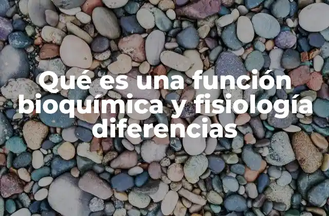 Qué es una Función Bioquímica y Fisiología Diferencias