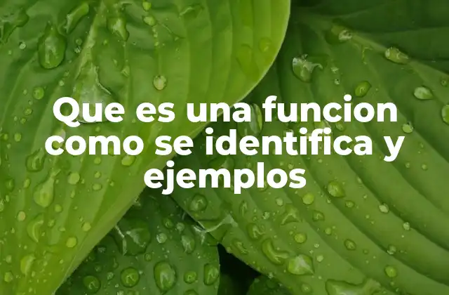 Que es una Funcion como Se Identifica y Ejemplos