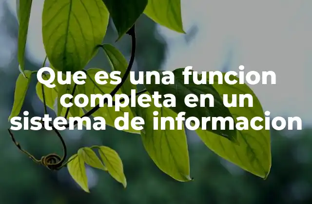 Que es una Funcion Completa en un Sistema de Informacion