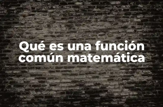 Qué es una Función Común Matemática