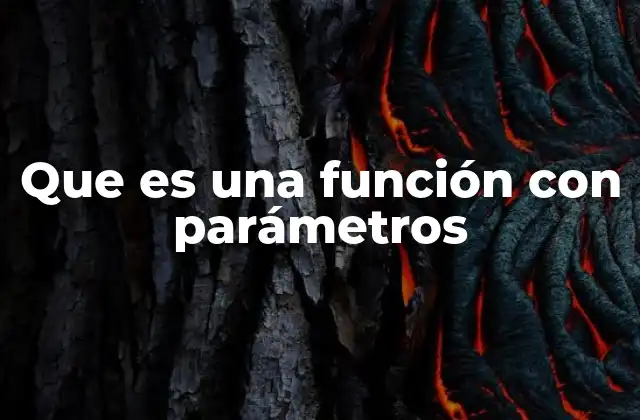 Que es una Función con Parámetros