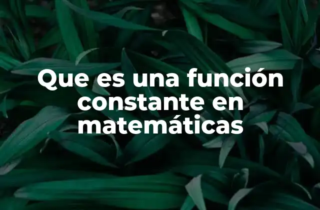 Que es una Función Constante en Matemáticas