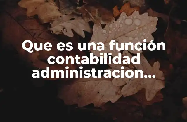Que es una Función Contabilidad Administracion Financiera