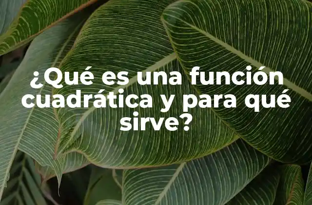 ¿qué es una Función Cuadrática y para Qué Sirve?