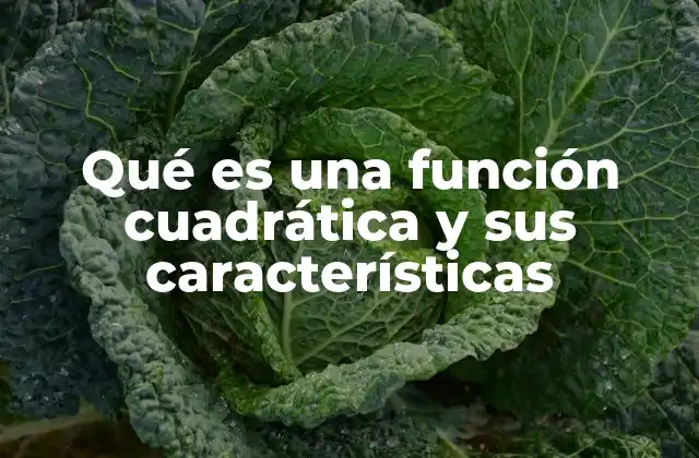 Qué es una Función Cuadrática y Sus Características