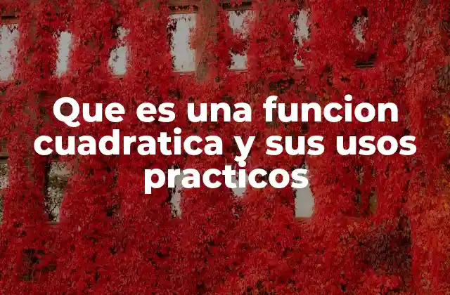 Que es una Funcion Cuadratica y Sus Usos Practicos