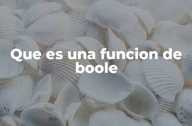 Que es una Funcion de Boole