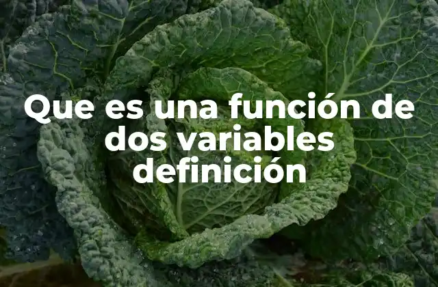 Que es una Función de Dos Variables Definición